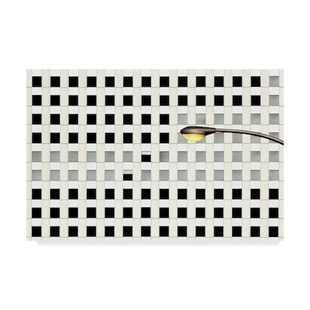 Dr Akira Takaue 'An Isotopic Window Matrix' Canvas Art,22x32
